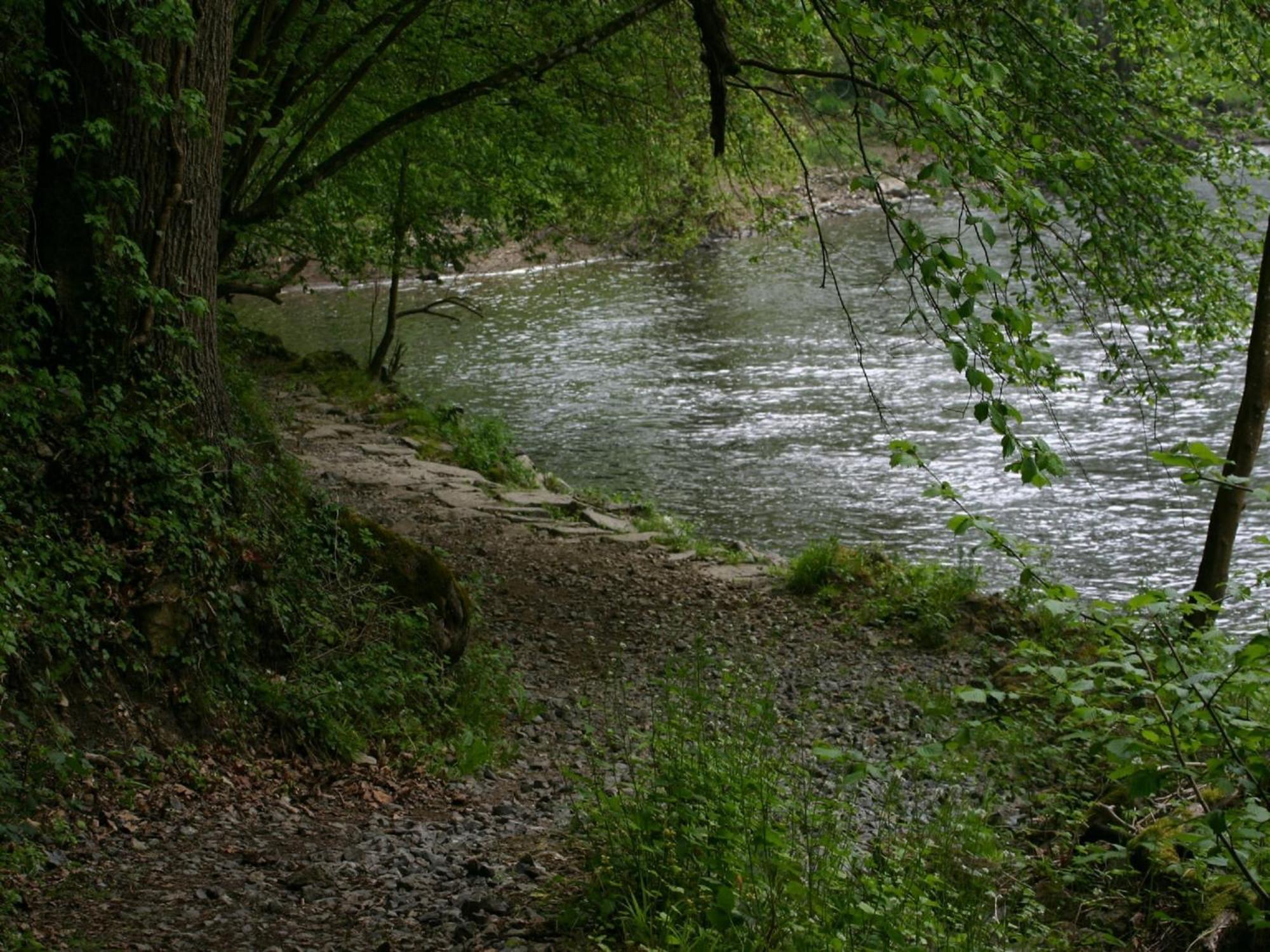 Chalet Near Ourthe River And The City Of Durbuy Vieuxville Eksteriør billede